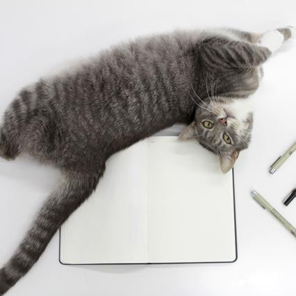 Gray tabby cat lying on open sketchbook with pencils and markers nearby on white surface