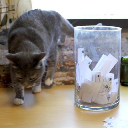 Gray cat approaching a clear glass jar filled with folded friendship bracelet and anklet swap notes on a wooden table