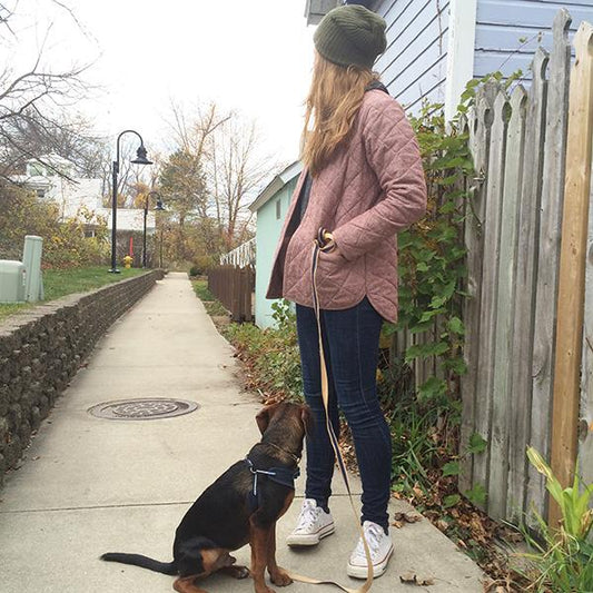 Person in a rose quilted Tamarack Jacket, dark jeans, and green beanie, walking a black and tan dog on a neighborhood sidewalk