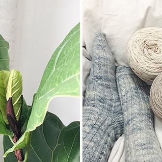 Split image showing potted green plant on left and blue and white handknit socks with balls of cream yarn on right
