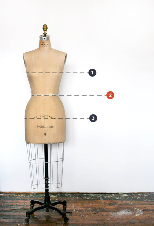 Vintage dress form with numbered dashed lines indicating bust, waist, and hip measurement points for Thayer Jacket sizing