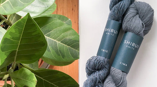 Two skeins of Shibui Knits yarn in slate blue—Twig and Cima—with branded bands on white table beside green plant leaves