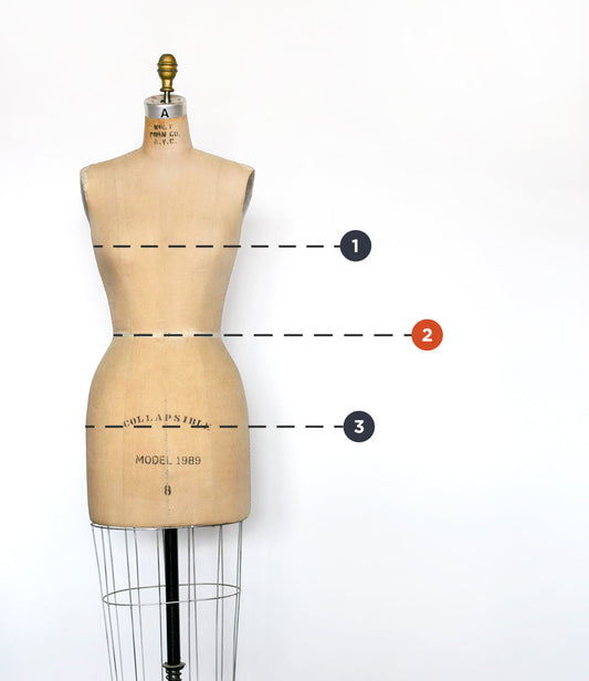Vintage dress form with numbered dashed lines indicating bust, waist, and hip measurement points for Thayer Jacket sizing
